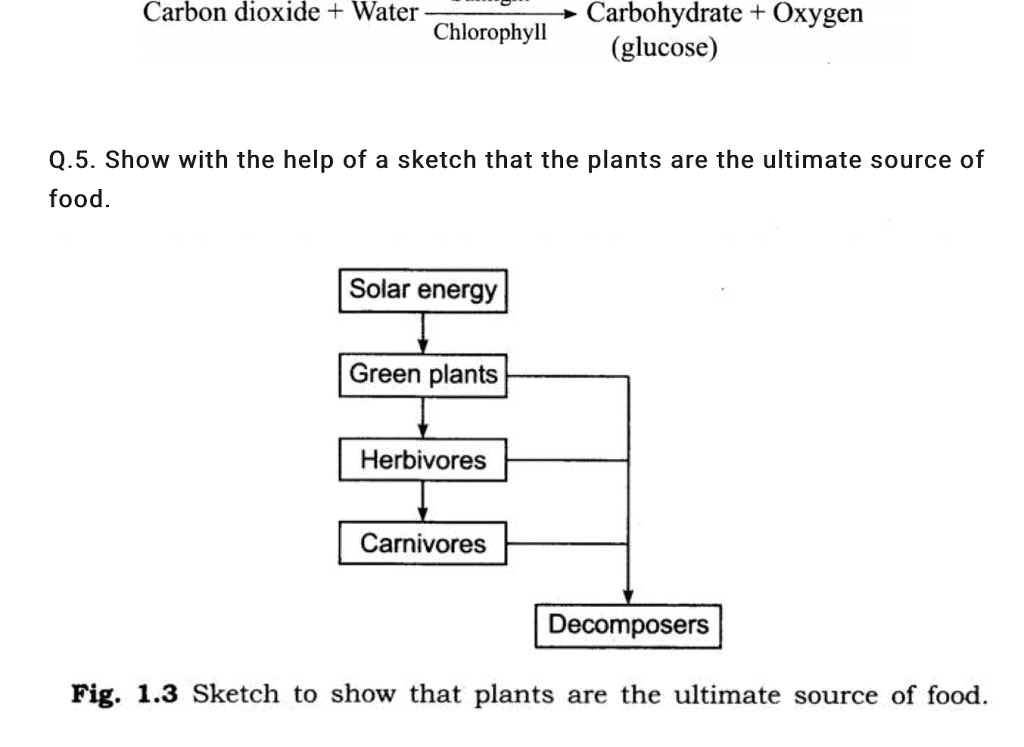 NCERT Solutions +extra questions of ch 1 science (nutrition in plants) class 7 Notes - Class 7