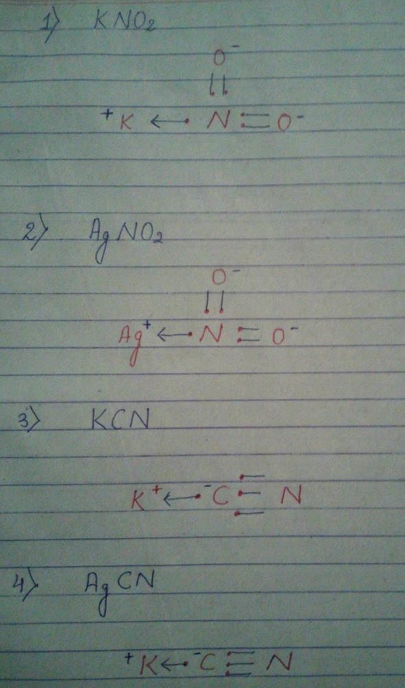 Lewis dot structure of Kno2, AgNo2, Kcn, Agcn? - EduRev Class 11 Question