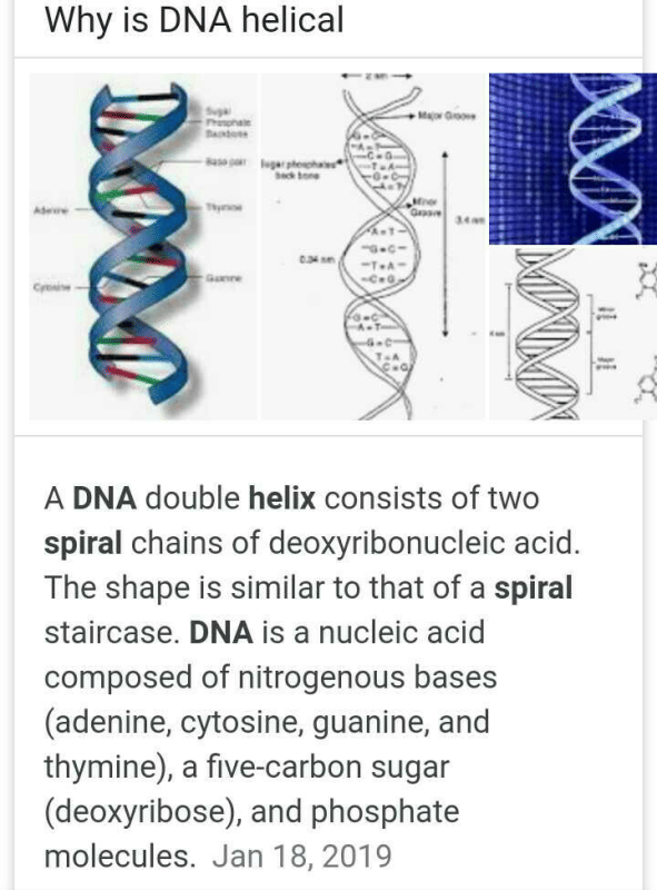 Why the structure of DNA is helical? EduRev NEET Question