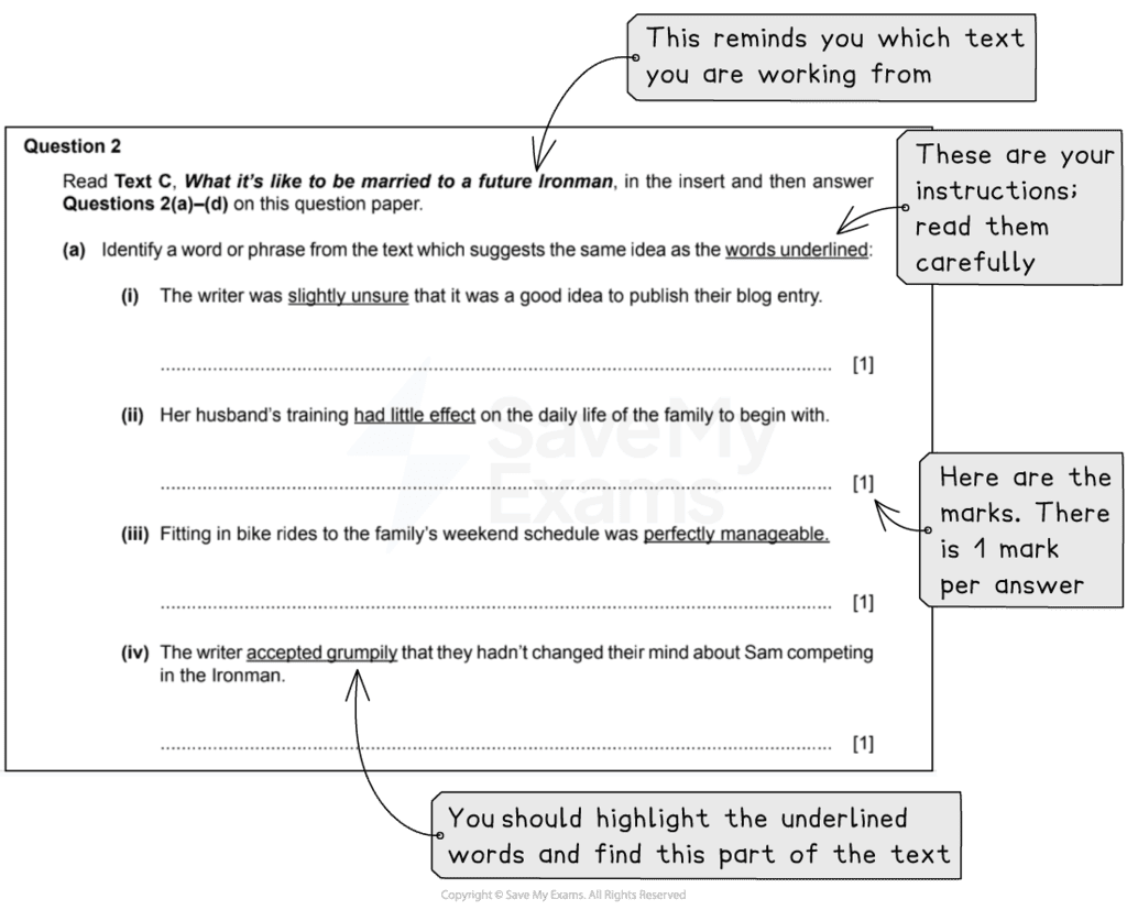 Answering the Question 2: Short Answer Questions - Year 11 PDF Download