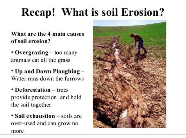 term paper on soil erosion