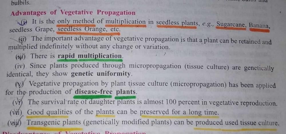 what-are-the-advantages-of-vegetative-propagation-edurev-class-10