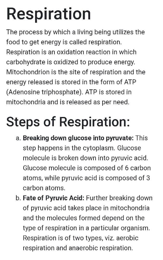 describe the process of respiration in human beings