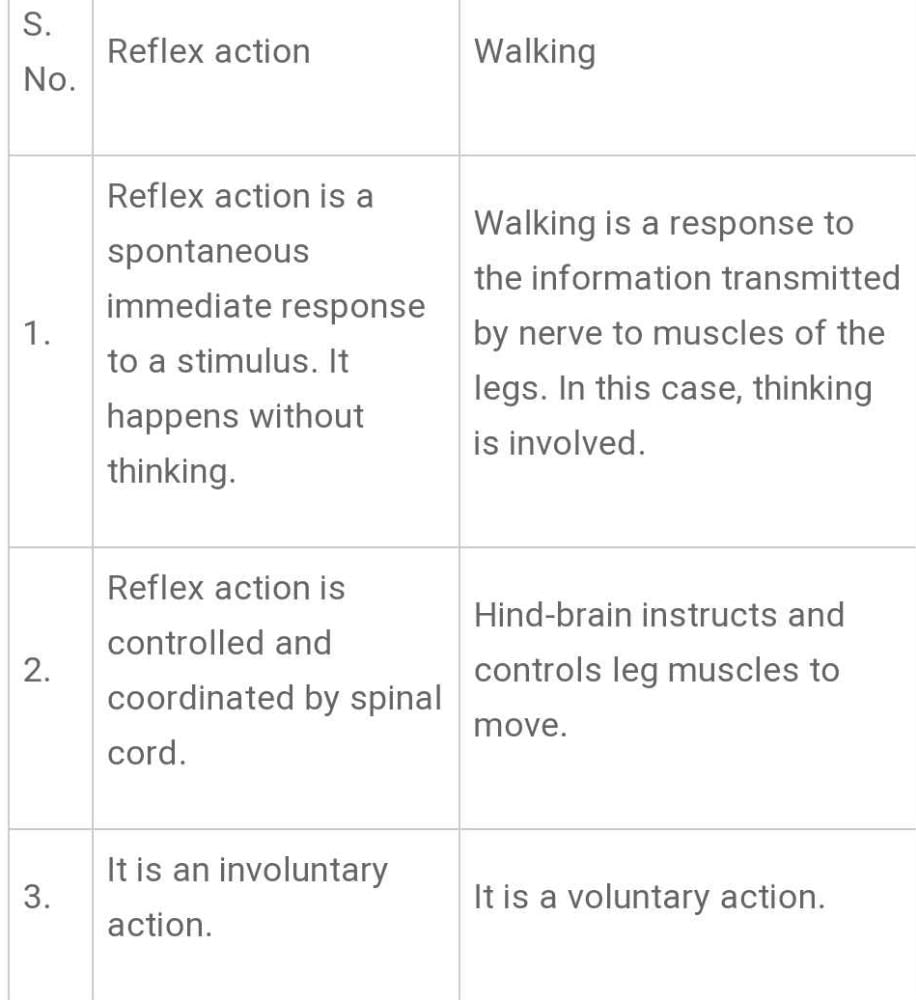 what-is-the-difference-between-reflex-action-and-walking-edurev