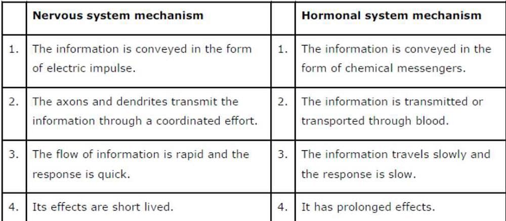Compare and contrast nervous and hormonal mechanisms for control and  coordination in animals.? | EduRev Class 10 Question