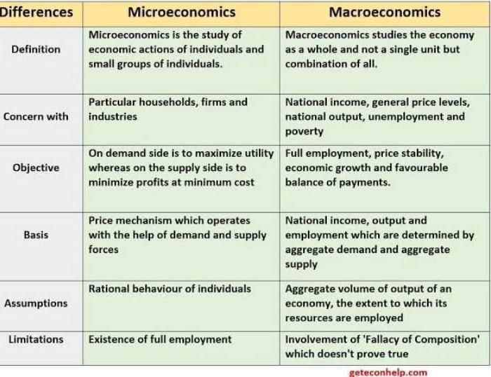 What Is Microeconomics And Macroeconomics Class 11