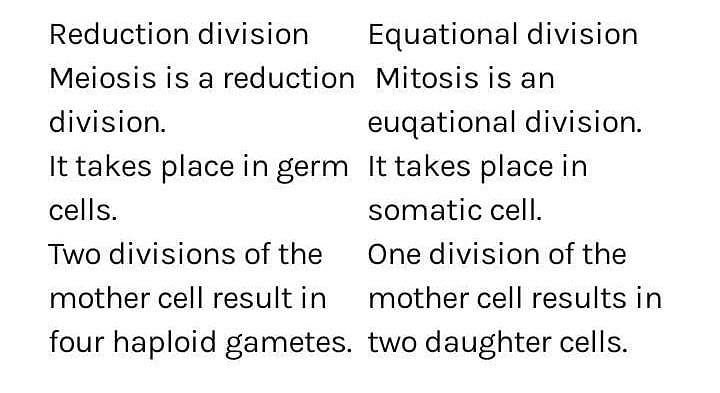 difference-between-equational-division-and-reductional-division