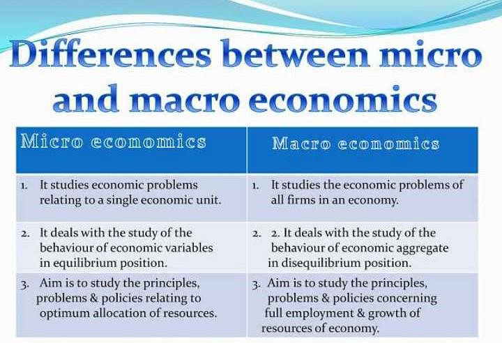 difference between micro and macro economic