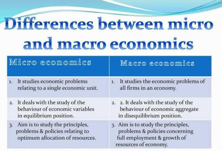 distinguish-between-micro-and-macro-economics-javatpoint