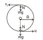 Introduction to Work and Work Energy Theorem | Physics Class 11 - NEET