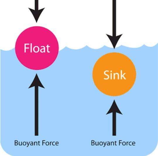 Floating and Sinking on Surface of Water