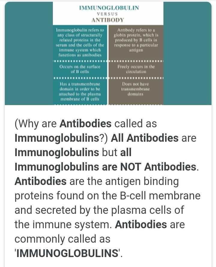 Why all immunoglobulins are not antibodies ? EduRev Class 12 Question