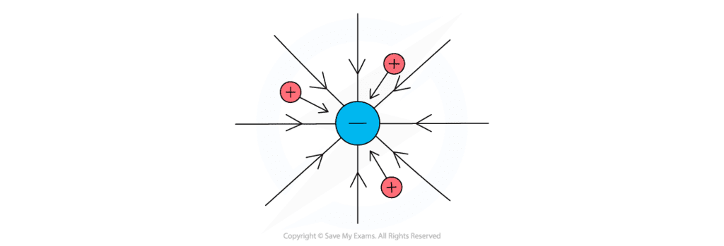 Electric Fields - Year 11 PDF Download