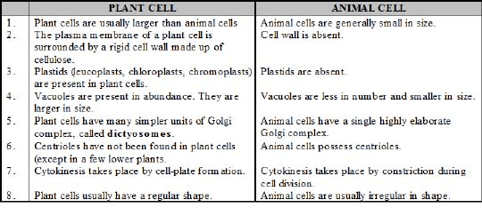 The Fundamental Unit of Life Class 9 Notes Science Chapter 5 Free PDF