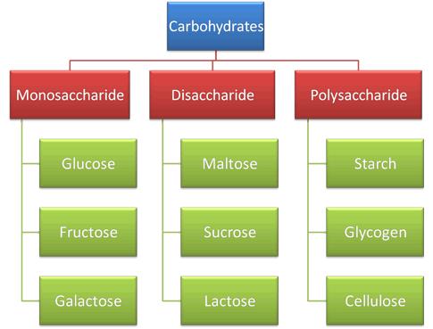 Introduction To Biomolecules And Carbohydrates - Organic Chemistry PDF ...