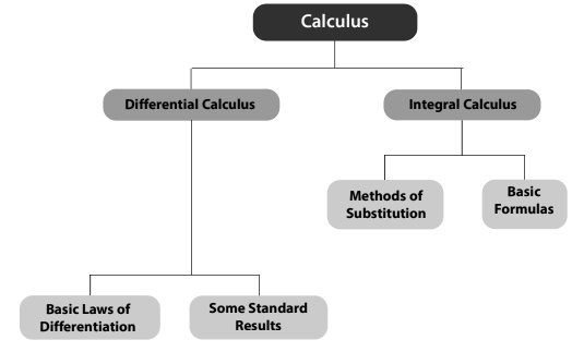 Differential Calculus Chapter Notes | Quantitative Aptitude for CA Foundation
