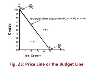Unit 2: Theory of Consumer Behaviour Chapter Notes | Business Economics for CA Foundation