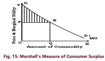 Unit 2: Theory of Consumer Behaviour Chapter Notes | Business Economics for CA Foundation