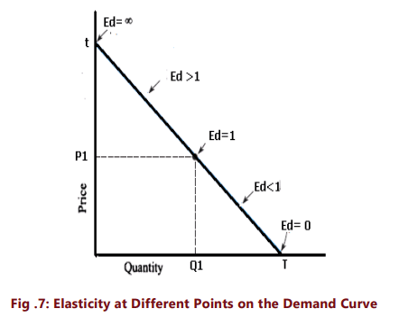 Unit 1: Law of Demand and Elasticity of Demand - 2 Chapter Notes | Business Economics for CA Foundation