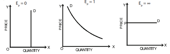 ICAI Notes- Unit 1: Elasticity of Demand & Price Elasticity - CA Foundation
