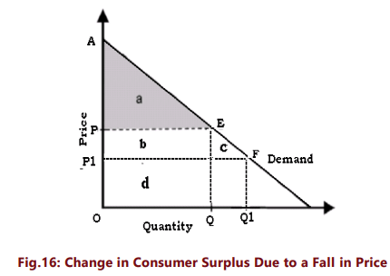 Unit 2: Theory of Consumer Behaviour Chapter Notes | Business Economics for CA Foundation