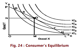 Unit 2: Theory of Consumer Behaviour Chapter Notes | Business Economics for CA Foundation
