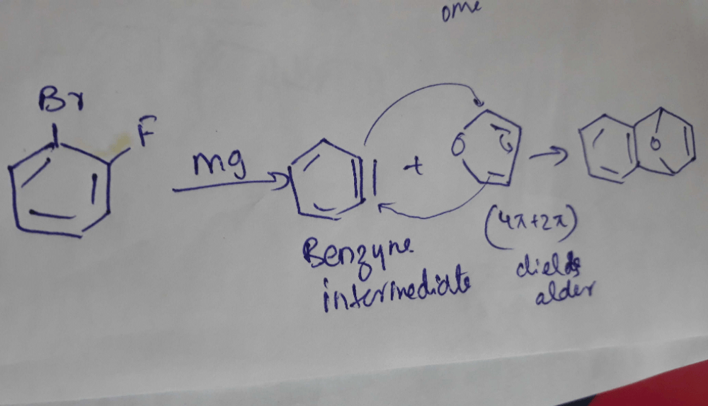 The reaction of 1bromo2fluorobenzene with furan in the presence of