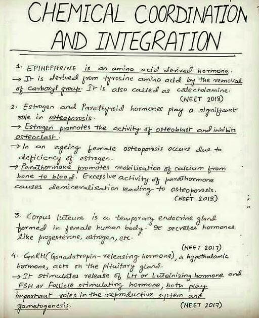 Corpus Luteum - NEET Biology Notes