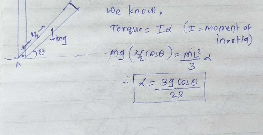 fig-shows-a-uniform-rod-of-length-l-and-mass-m-which-is-pivoted-at-end