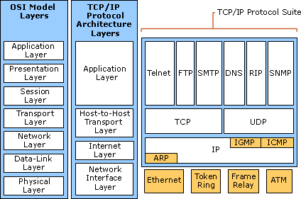 TCP/IP Protocol - Notes, Computer Network, Engg , Sem - Computer ...