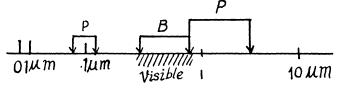 Irodov Solutions: Scattering of Particles: Rutherford-Bohr Atom | I. E. Irodov Solutions for Physics Class 11 & Class 12 - JEE
