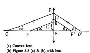 Irodov Solutions: Photometry & Geometrical Optics | I. E. Irodov Solutions for Physics Class 11 & Class 12 - JEE