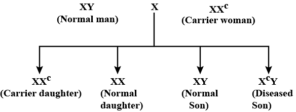 Pedigree Analysis (NCERT) Free MCQ Practice Test with Solutions - NEET