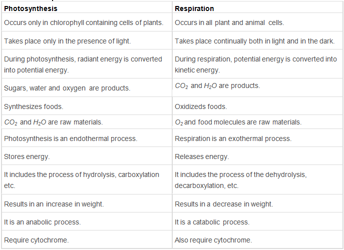 Respiration in Plants Class 11 Notes Biology Chapter 14