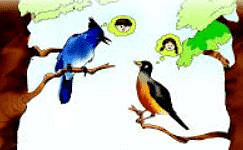 Bird Talk NCERT Solutions | English for Class 3