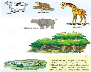 Three Little Pigs NCERT Solutions | English for Class 1 (Marigold)