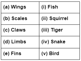 Worksheet Solution: Adaptation in Animals - Notes | Study Science for Class 4 - Class 4 Worksheet Solution: Adaptation in Animals - Notes | Study Science for Class 4 - Class 4