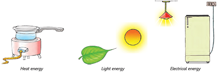 Chapter Notes: Force, Work & Energy