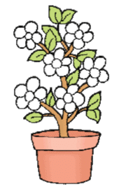 Numbers from One to Nine NCERT Solutions | Mathematics for Class 1: NCERT