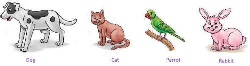 Chapter Notes: Animals Around Us - Notes | Study Science for Class 1 - Class 1 Chapter Notes: Animals Around Us - Notes | Study Science for Class 1 - Class 1