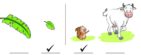 Shapes and Space NCERT Solutions | Mathematics for Class 1: NCERT