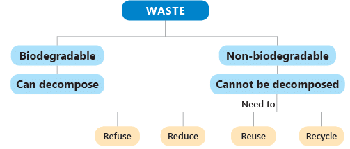 Chapter Notes: Our Environment