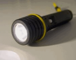 Worksheet Solution: Light & Shadow | Science for Class 2