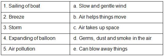 Worksheet Solution: Air Around Us - Notes | Study Science for Class 2 - Class 2