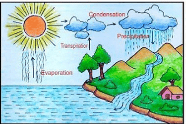 Worksheet Solution: Weather, Water and Air Notes | Study Science for Class 4 - Class 4