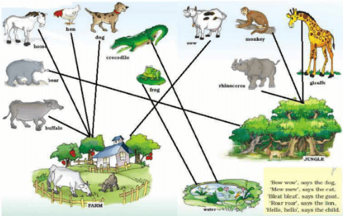 Three Little Pigs NCERT Solutions | English for Class 1 (Marigold)