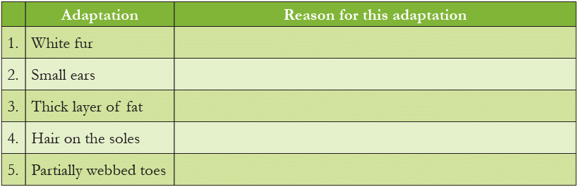 Worksheet Solution: Adaptation in Animals - Notes | Study Science for Class 4 - Class 4 Worksheet Solution: Adaptation in Animals - Notes | Study Science for Class 4 - Class 4
