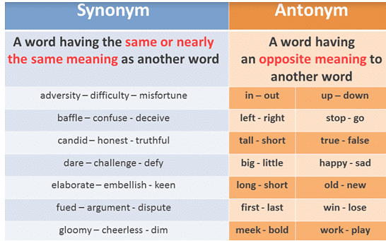 Synonyms And Antonyms Chapter Notes 