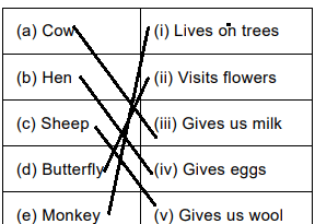 Worksheet Solution: Animals Around Us - Notes | Study Science for Class 1 - Class 1 Worksheet Solution: Animals Around Us - Notes | Study Science for Class 1 - Class 1
