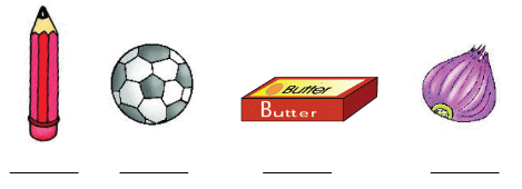 Shapes and Space NCERT Solutions | Mathematics for Class 1: NCERT